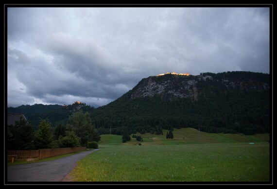 IMG_6529 5D